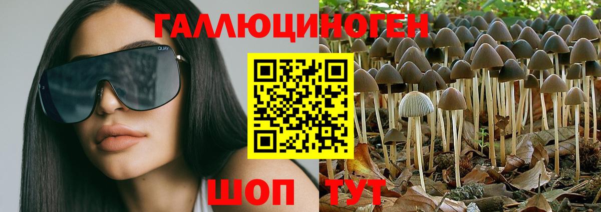 Ижевск  Галлюциногенные грибы MAGIC MUSHROOMS  Вход с VPN 